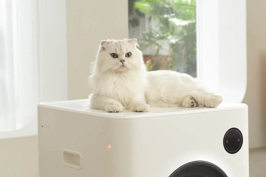 no odor litter box