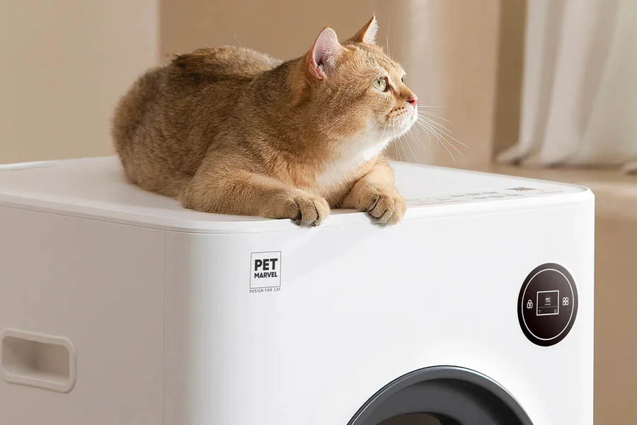 auto litter boxes for cats