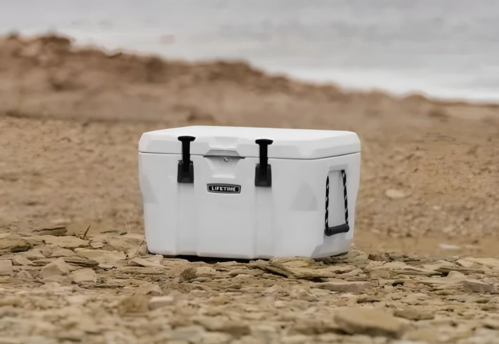 best ice chest cooler