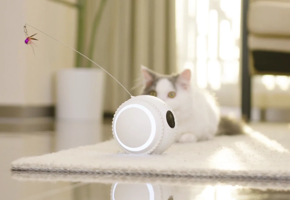 best surveillance camera for pets