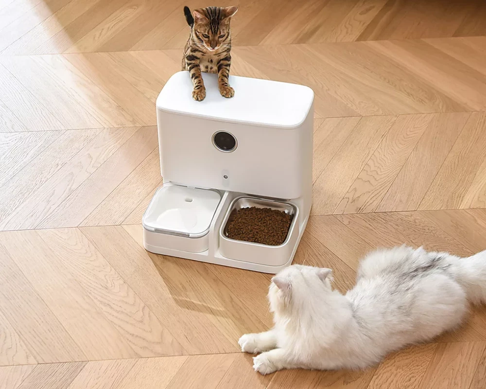 automatic pet feeding station