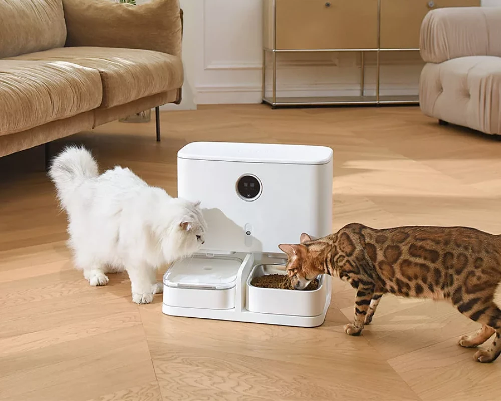 pet food and water dispenser