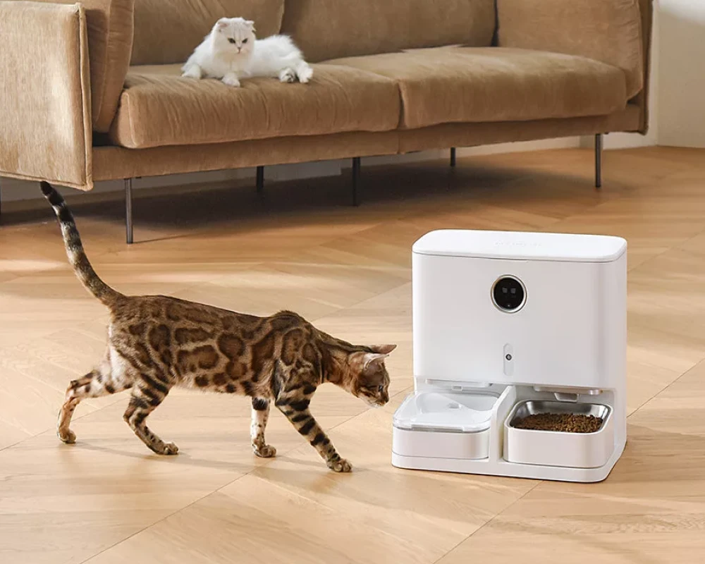 best automatic dog feeder