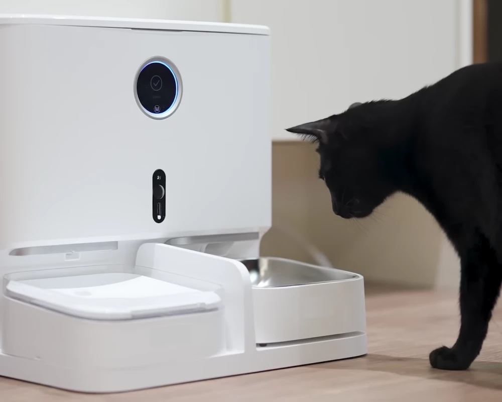 automatic dog feeding station